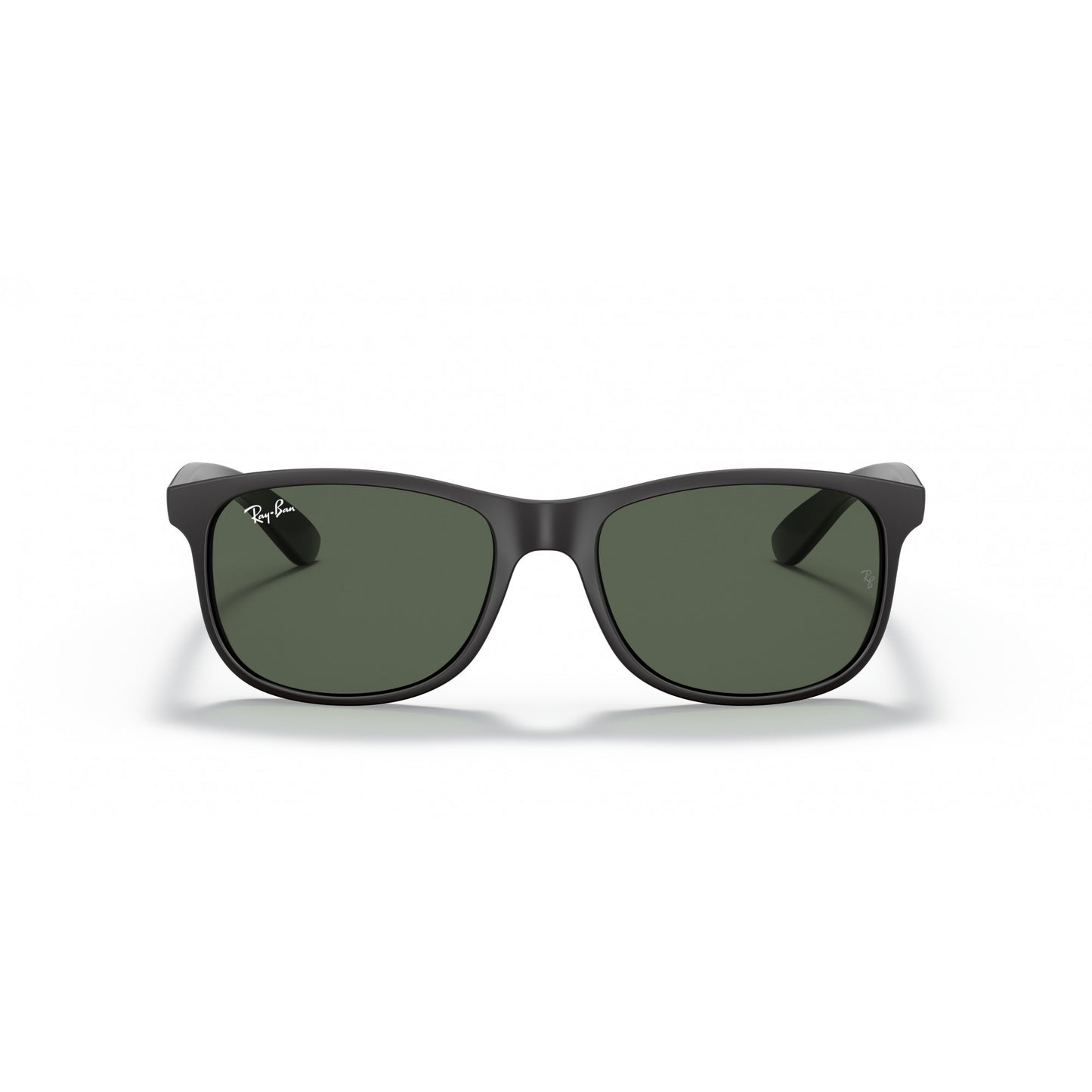 Ray-Ban 0RB4202