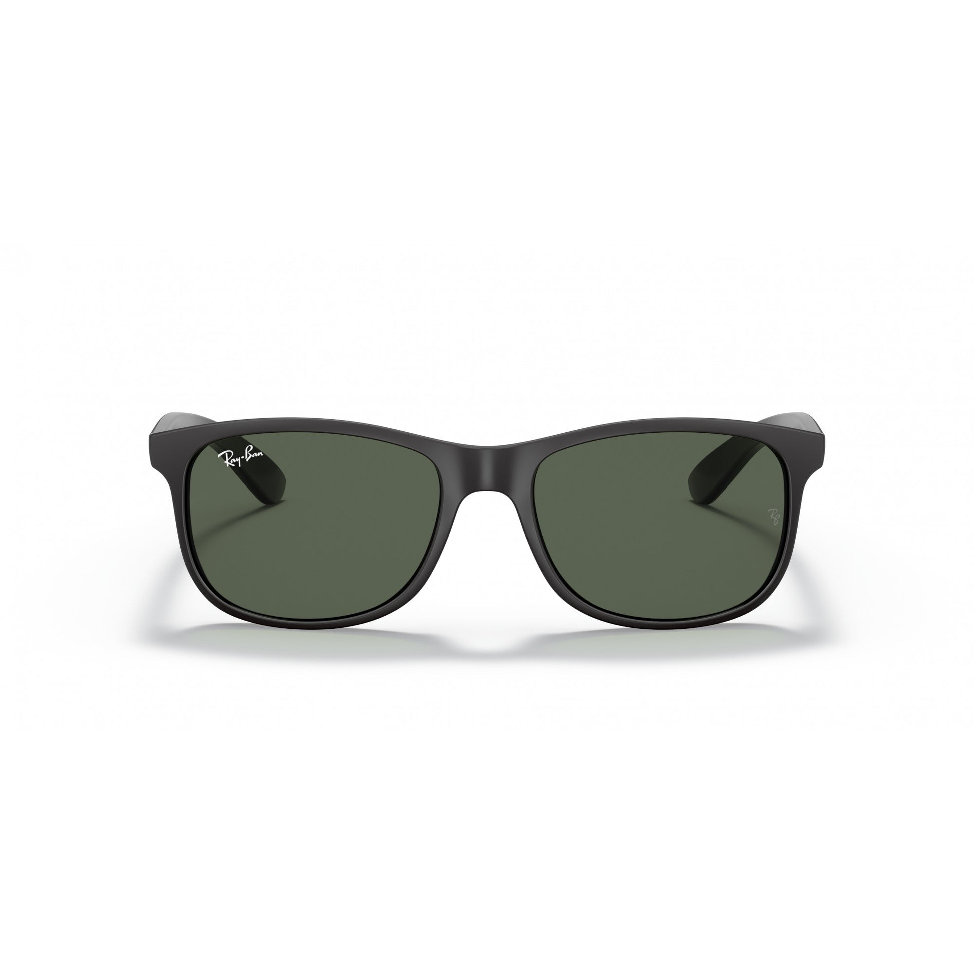 Ray-Ban 0RB4202