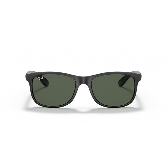Ray-Ban 0RB4202