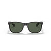 Ray-Ban 0RB4202
