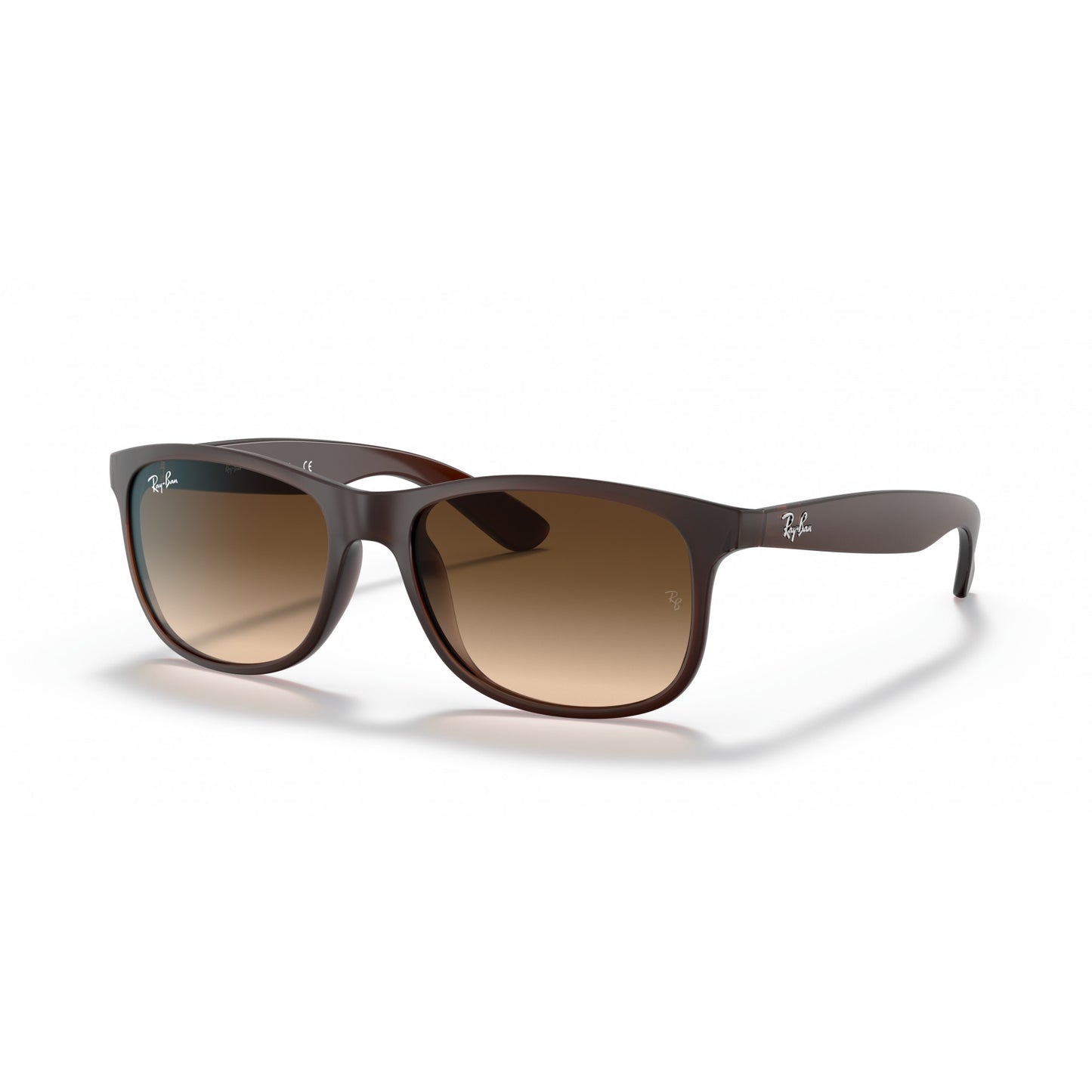 Ray-Ban 0RB4202