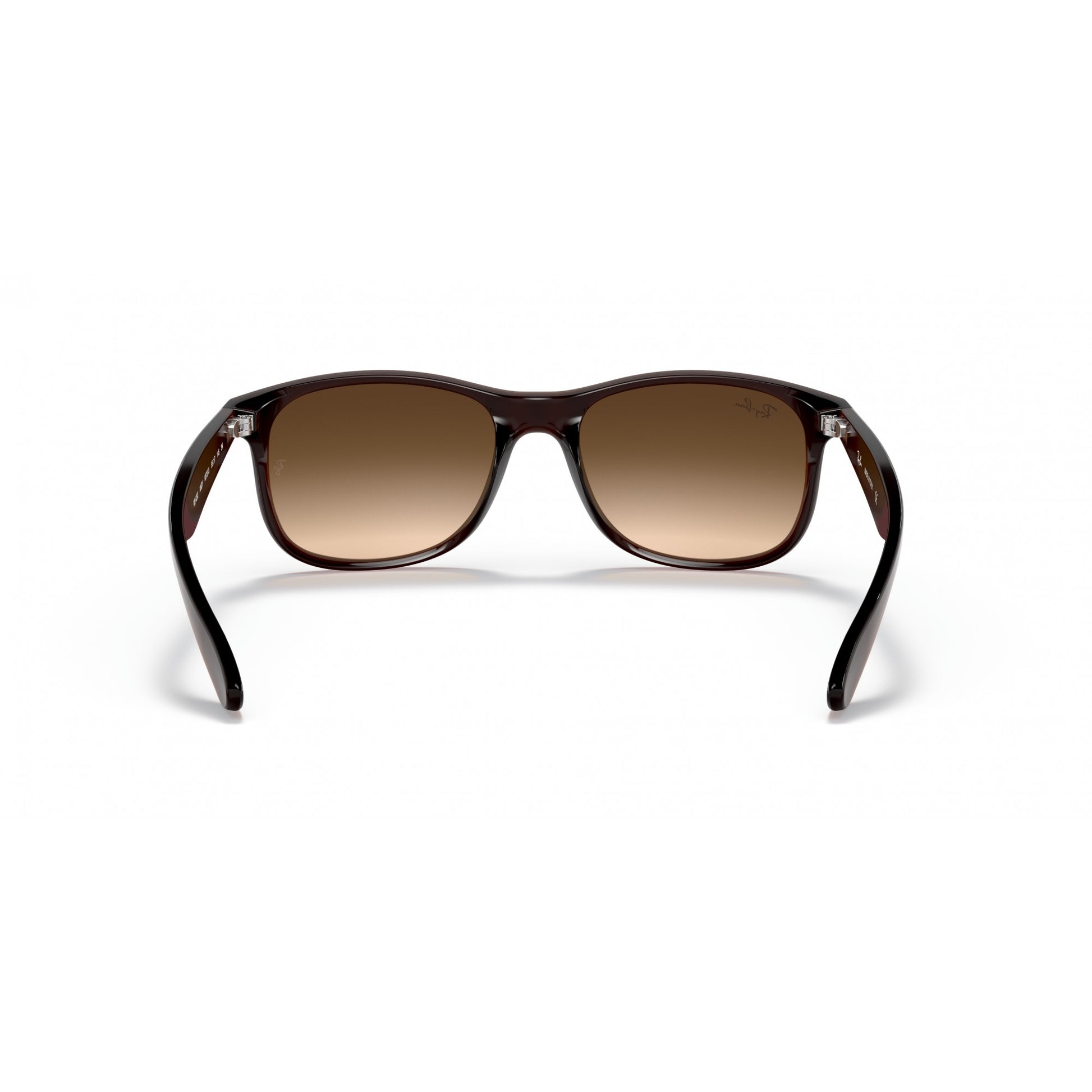 Ray-Ban 0RB4202