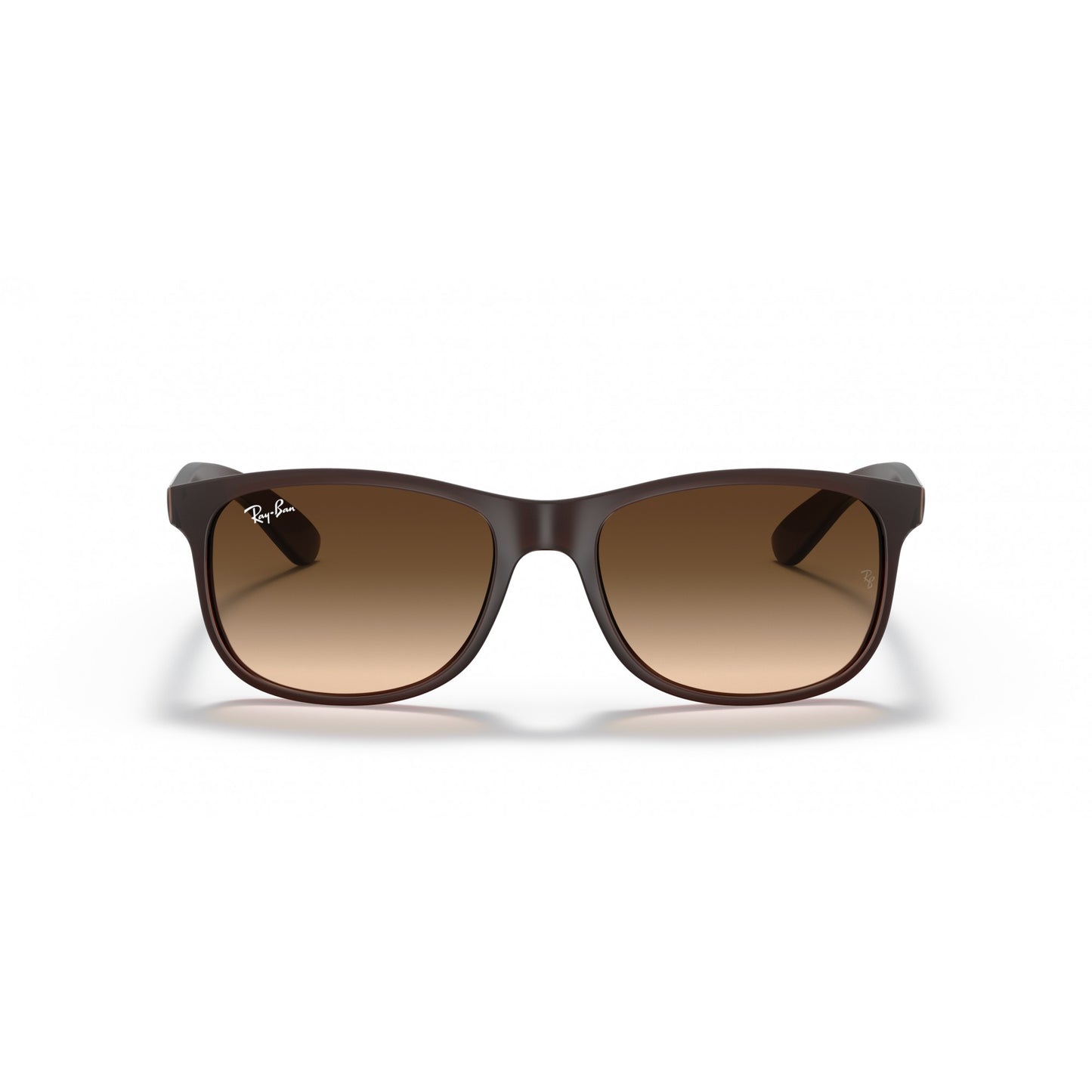 Ray-Ban 0RB4202