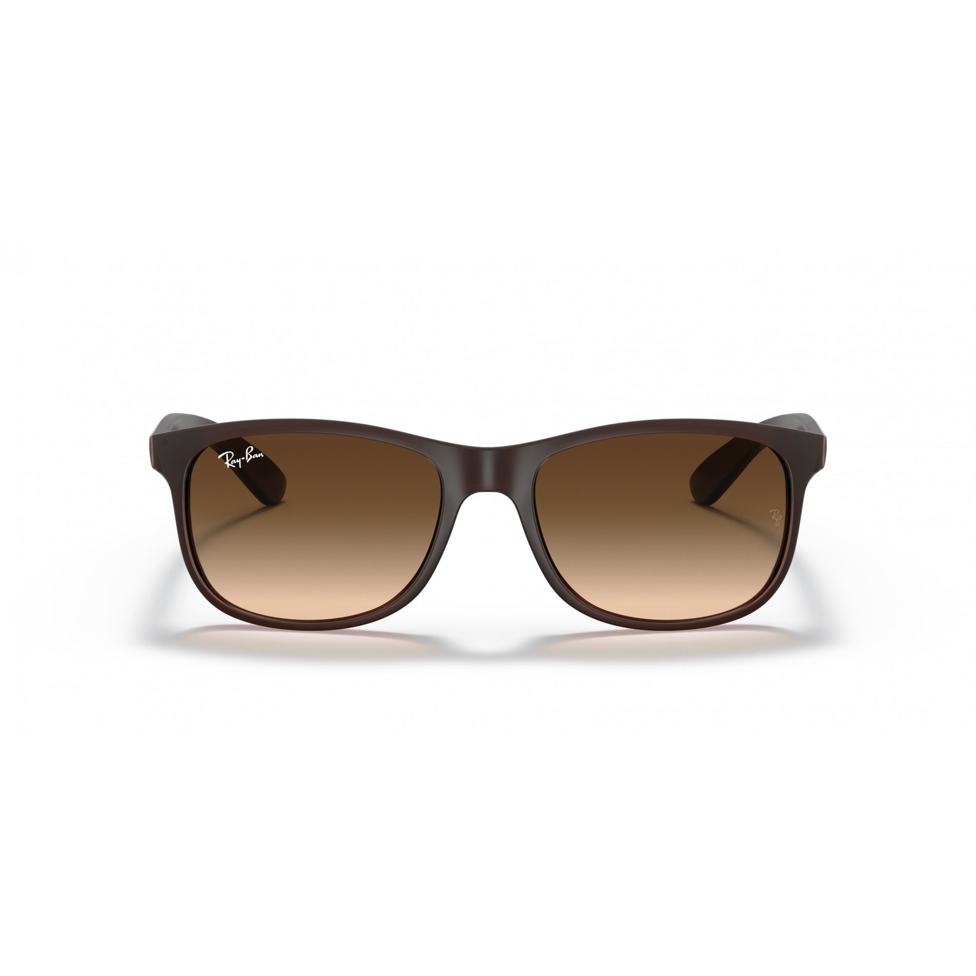 Ray-Ban 0RB4202