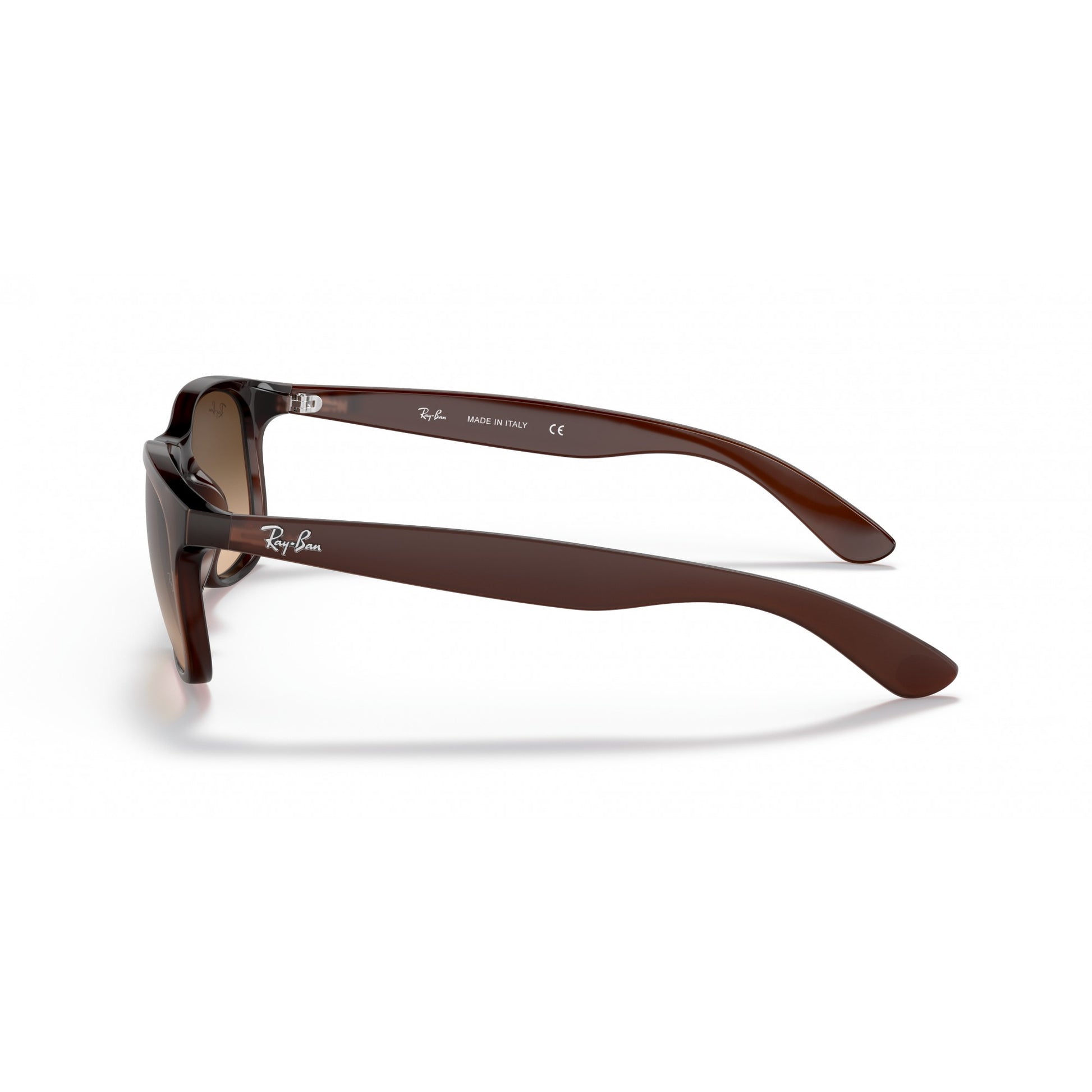 Ray-Ban 0RB4202