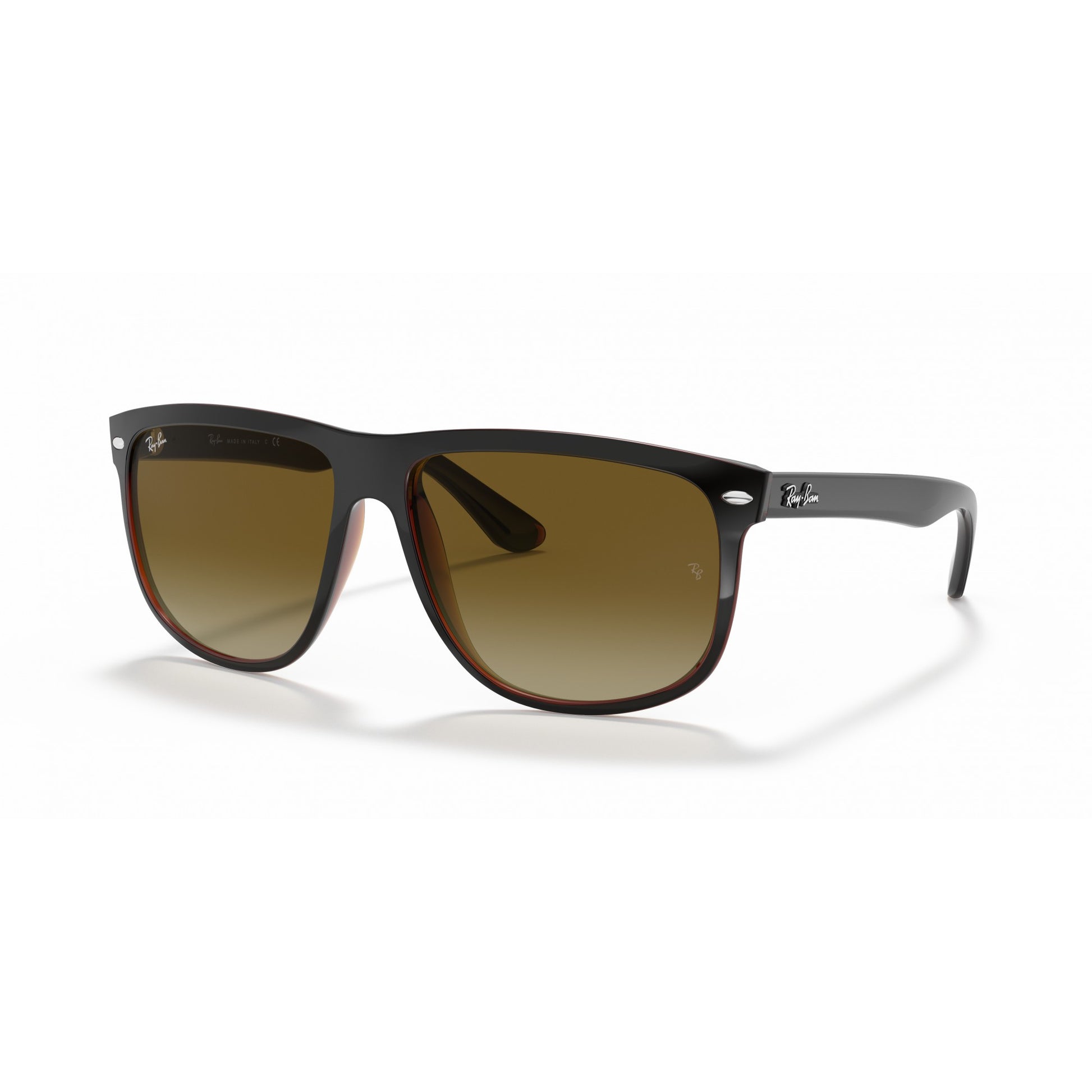 Ray-Ban 0RB4147