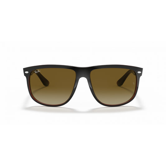 Ray-Ban 0RB4147