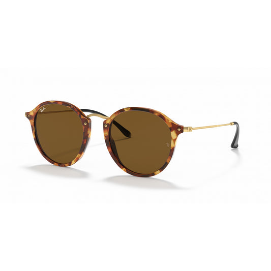Ray-Ban 0RB2447