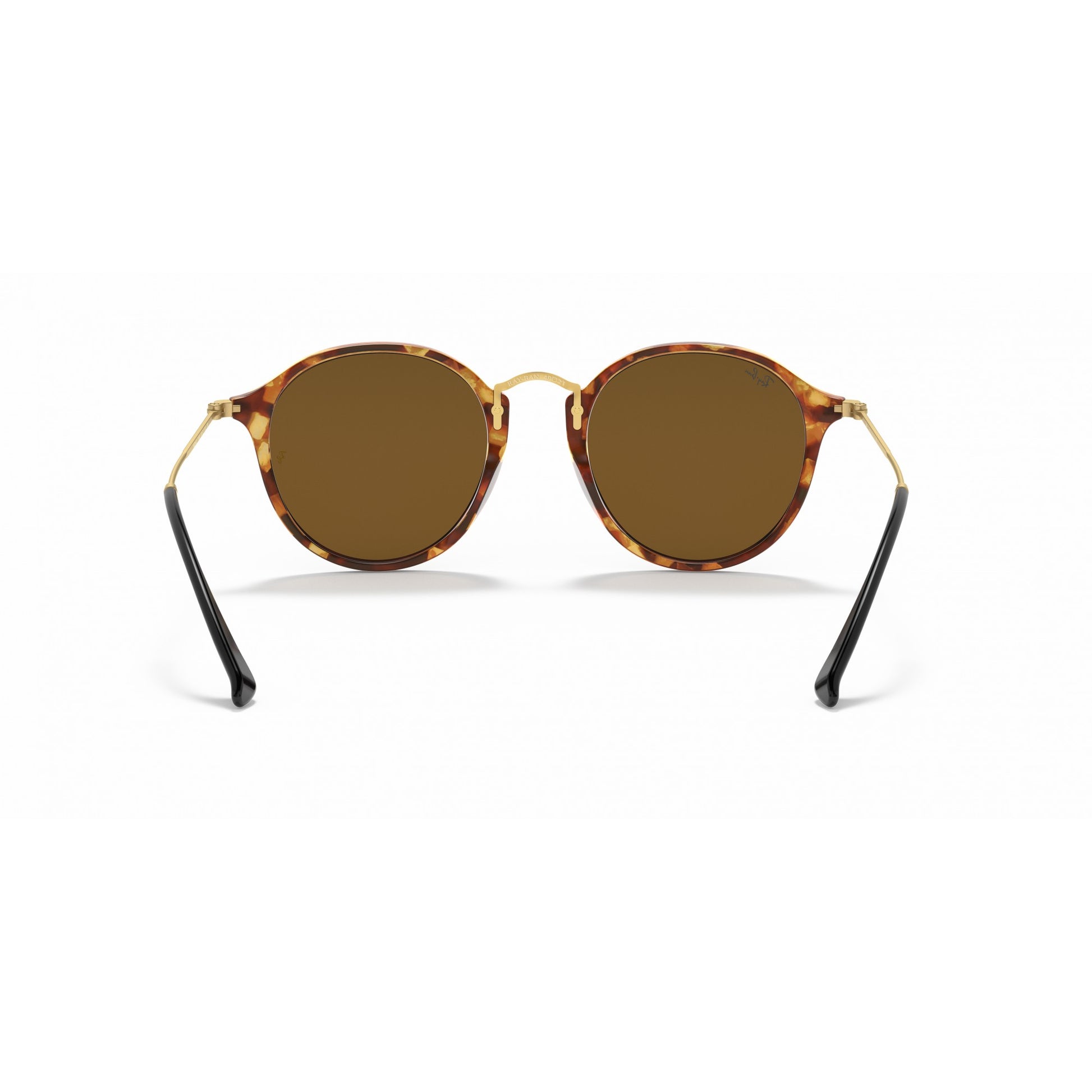 Ray-Ban 0RB2447