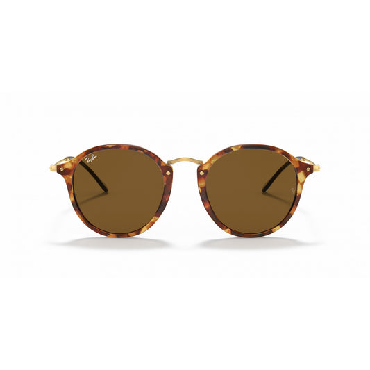 Ray-Ban 0RB2447