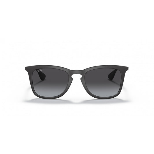 Ray-Ban 0RB4221