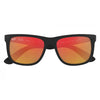 Ray-Ban 0RB4165