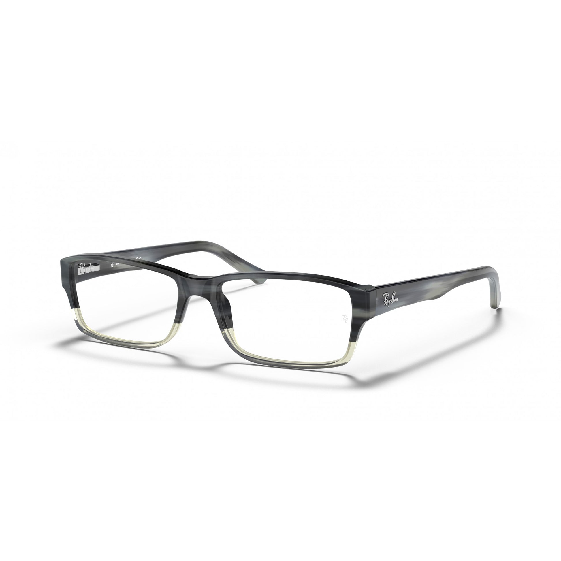 Ray-Ban 0RX5169