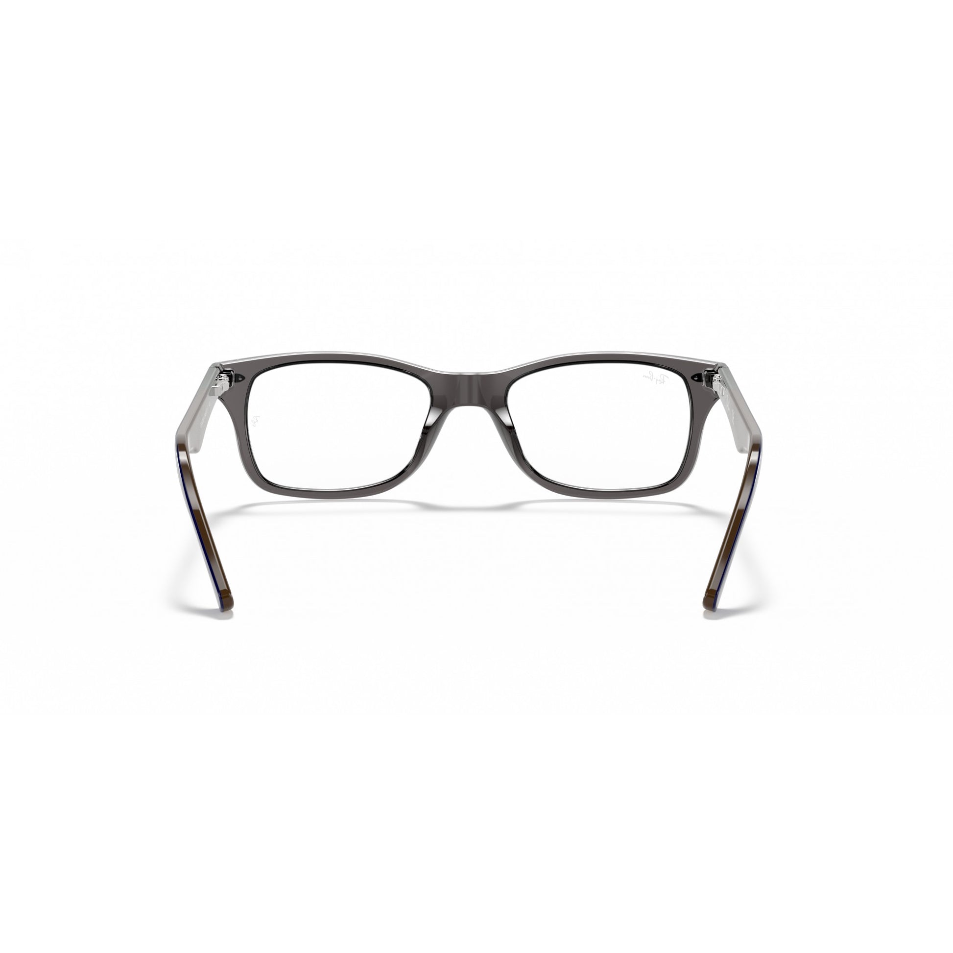 Ray-Ban 0RX5228