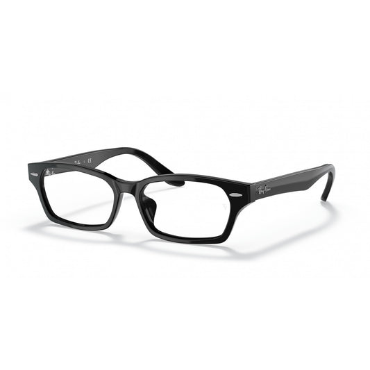 Ray-Ban 0RX5344D