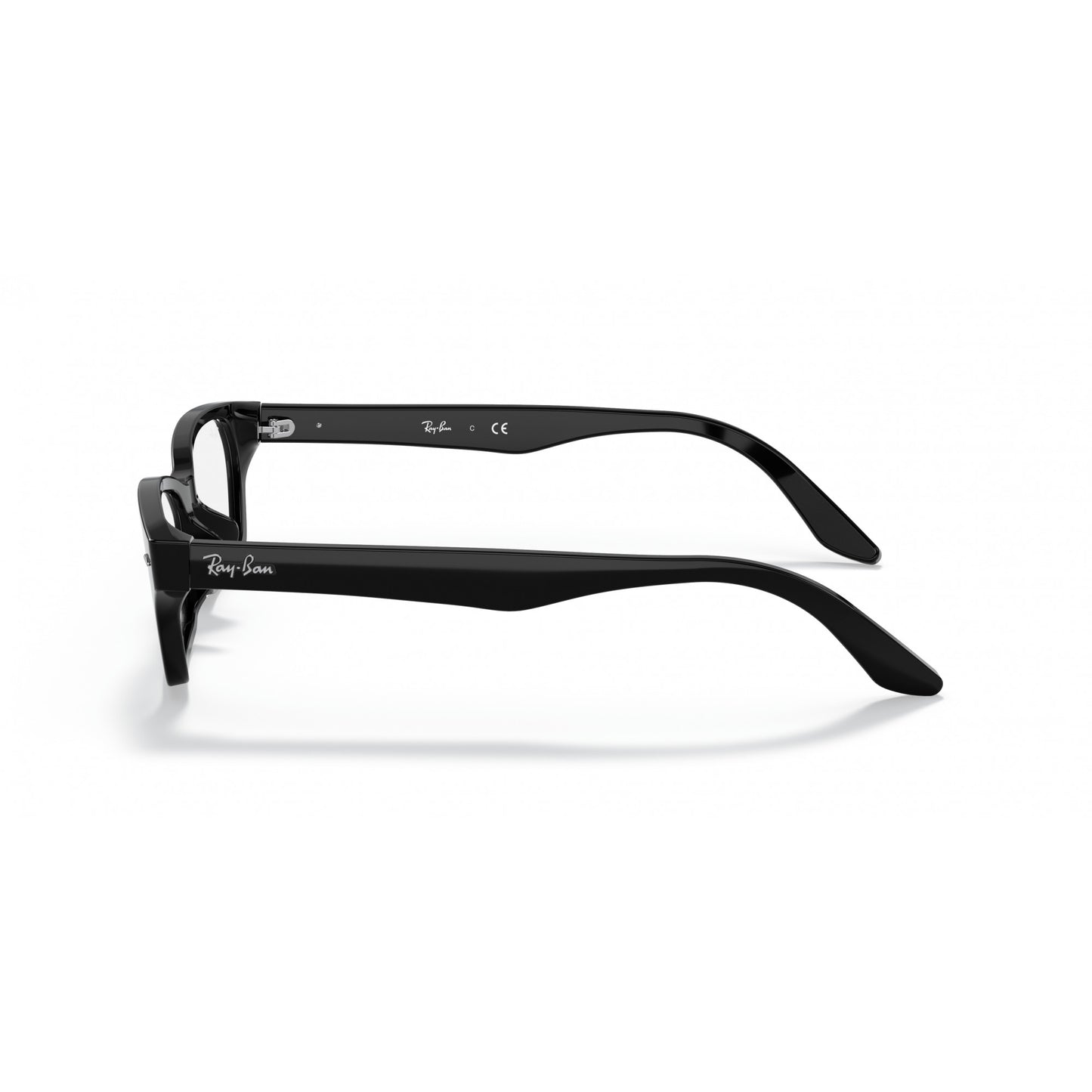 Ray-Ban 0RX5344D