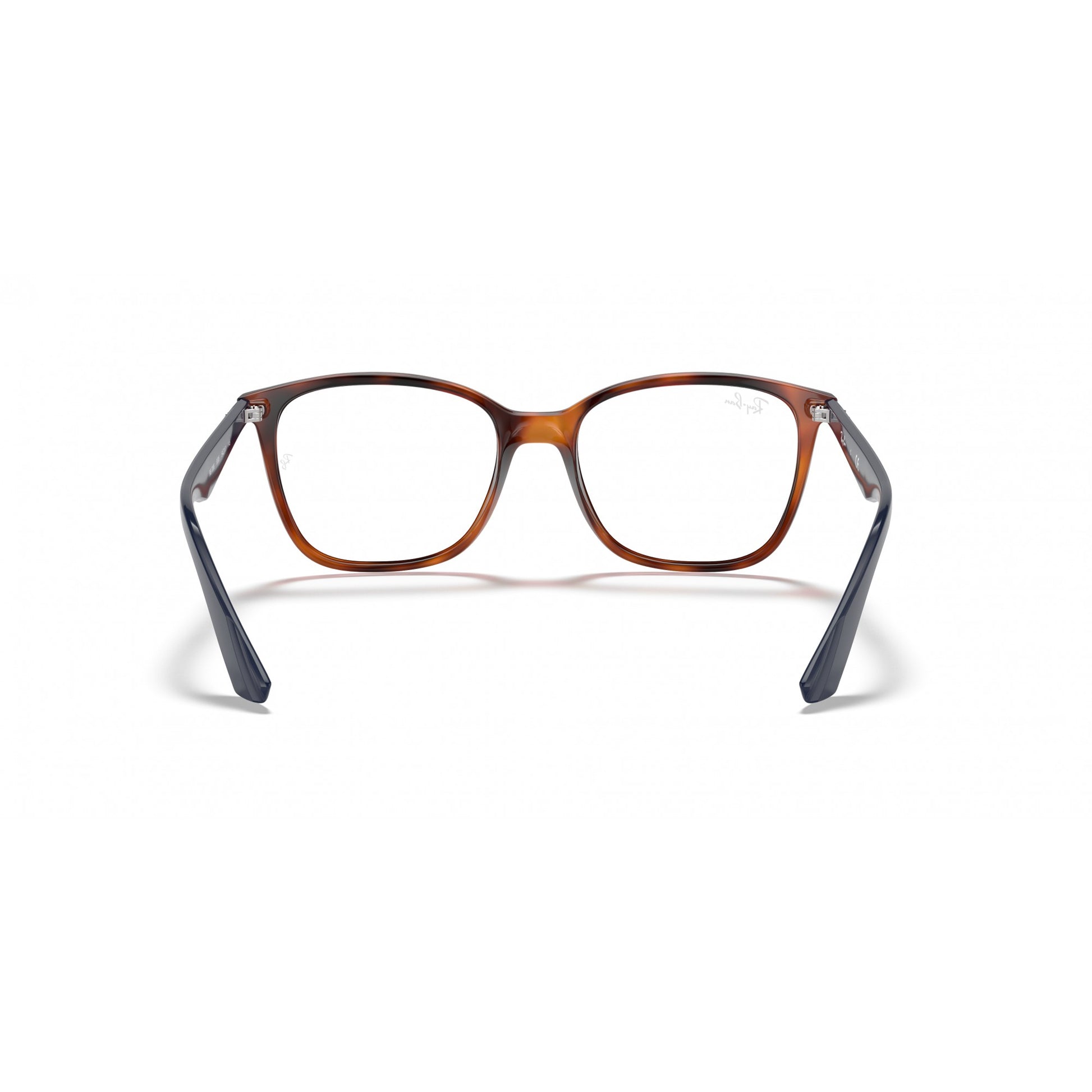 Ray-Ban 0RX7066