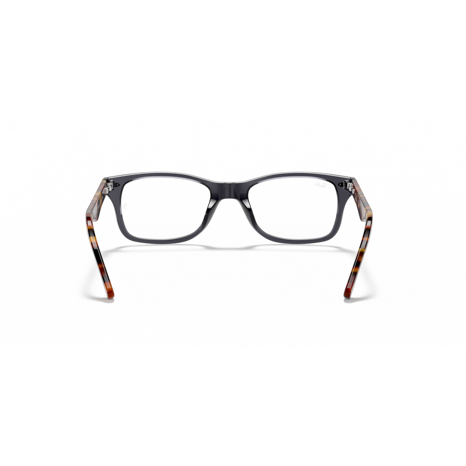 Ray-Ban 0RX5228