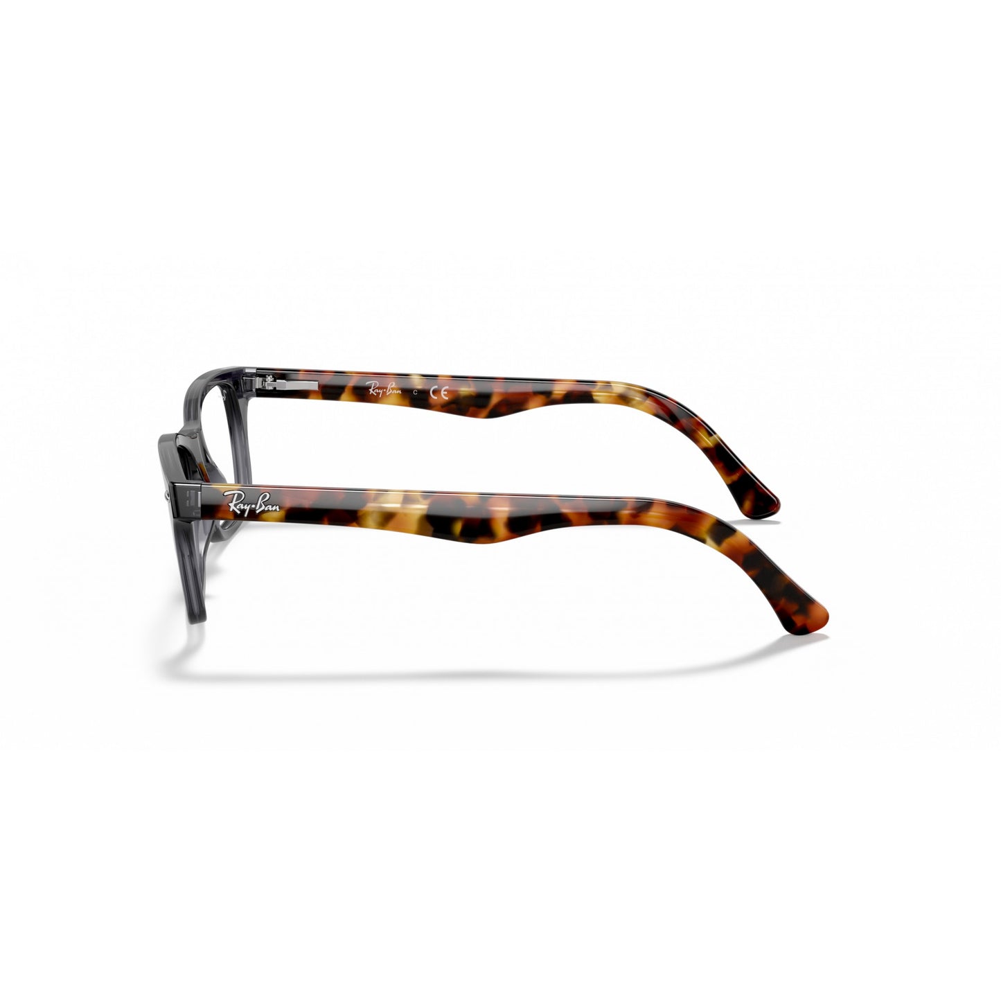 Ray-Ban 0RX5228