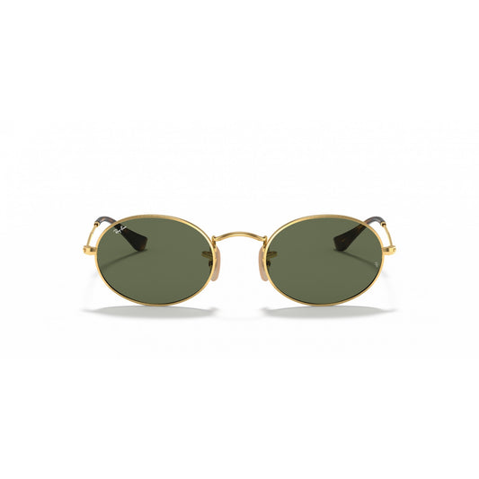 Ray-Ban 0RB3547N