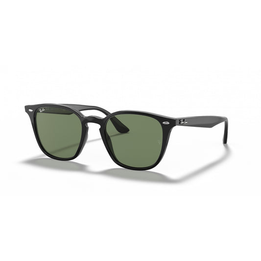 Ray-Ban 0RB4258F