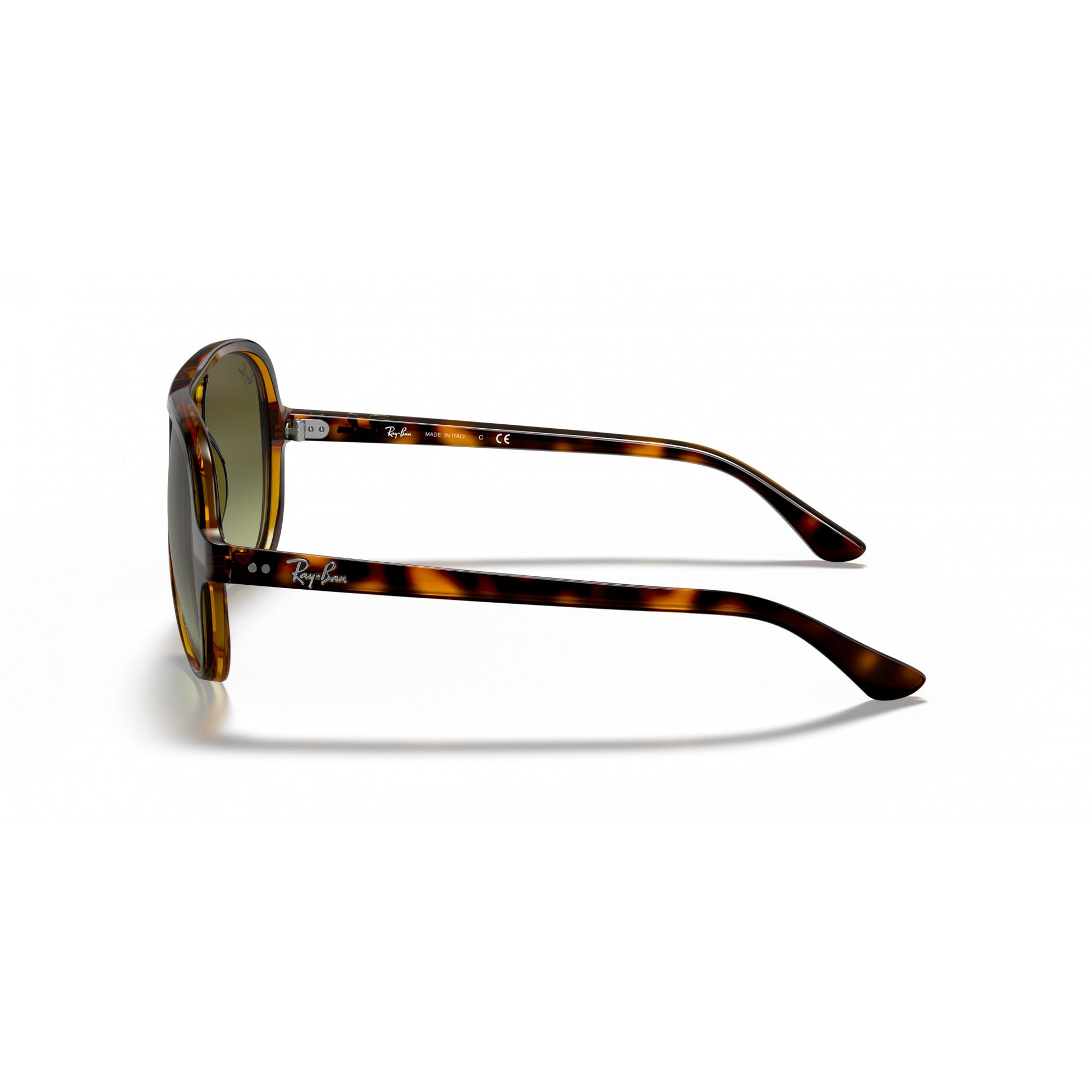 Ray-Ban 0RB4125
