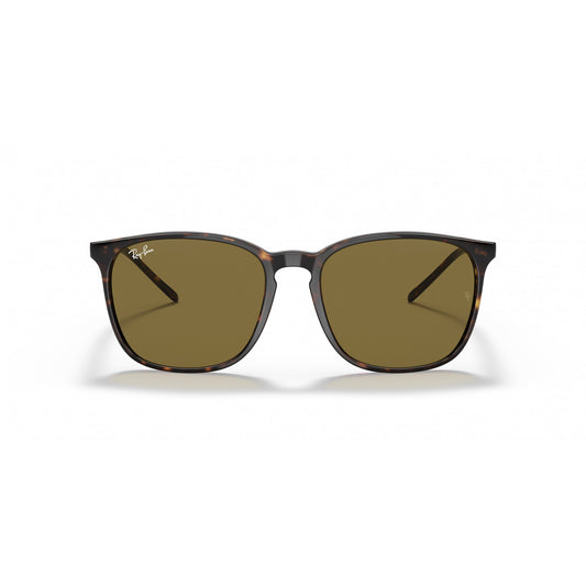 Ray-Ban 0RB4387F