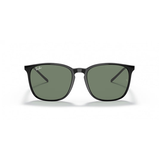 Ray-Ban 0RB4387F