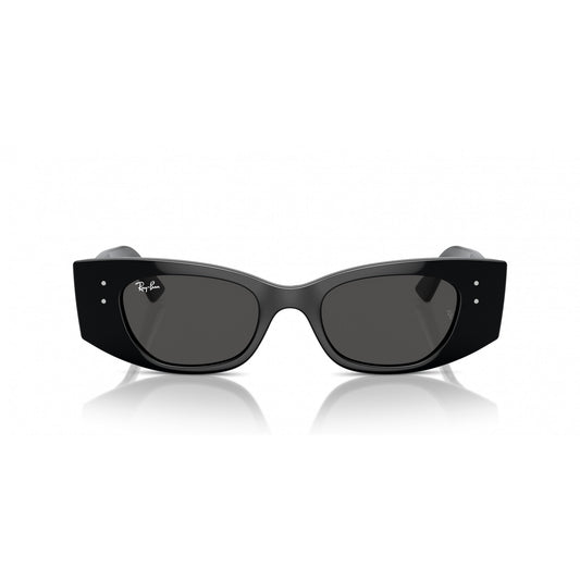 Ray-Ban 0RB4427