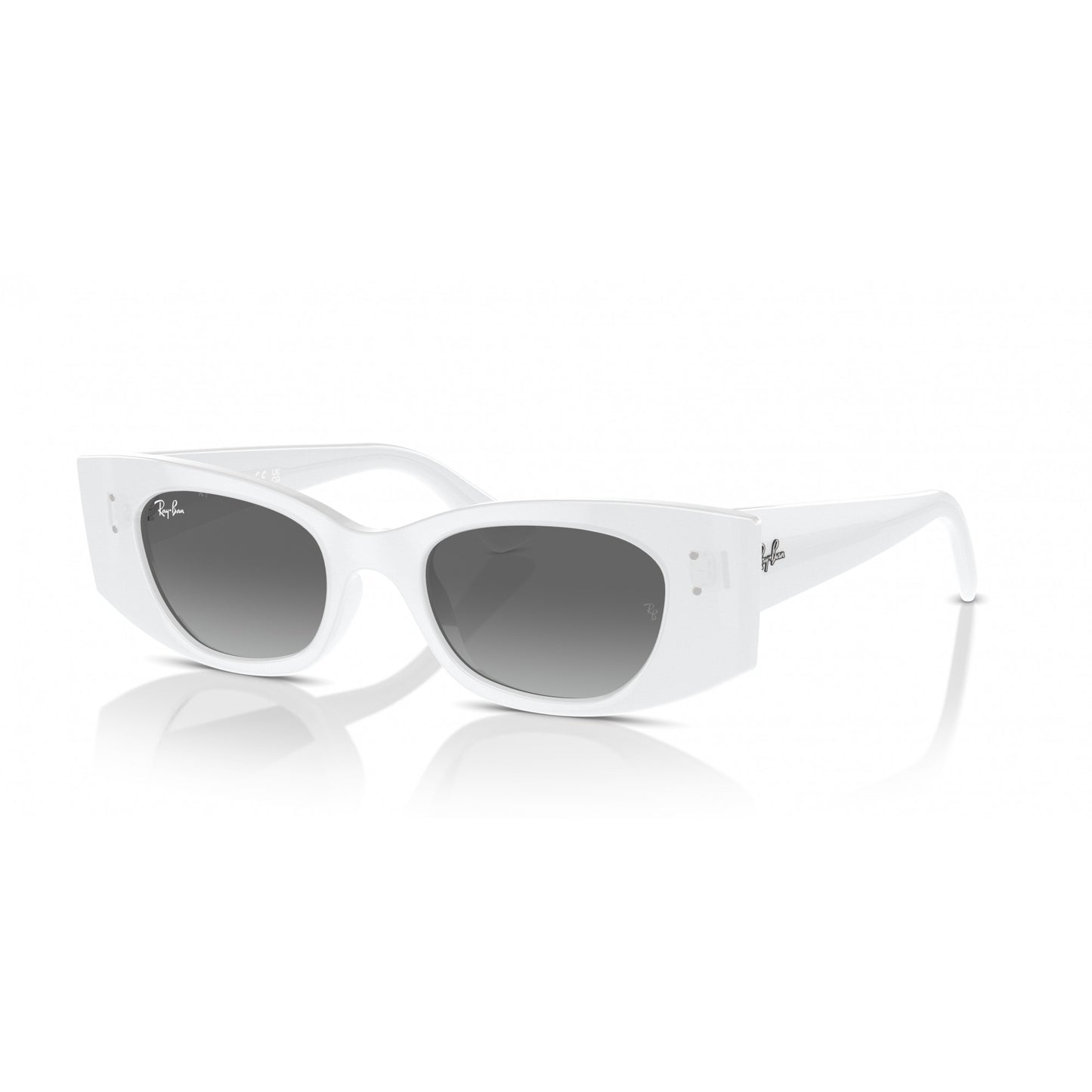Ray-Ban 0RB4427