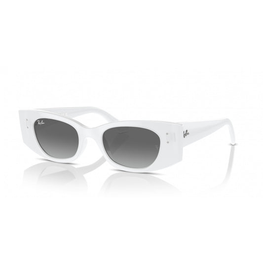 Ray-Ban 0RB4427