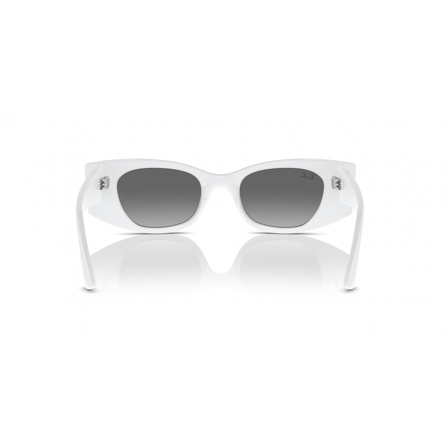 Ray-Ban 0RB4427