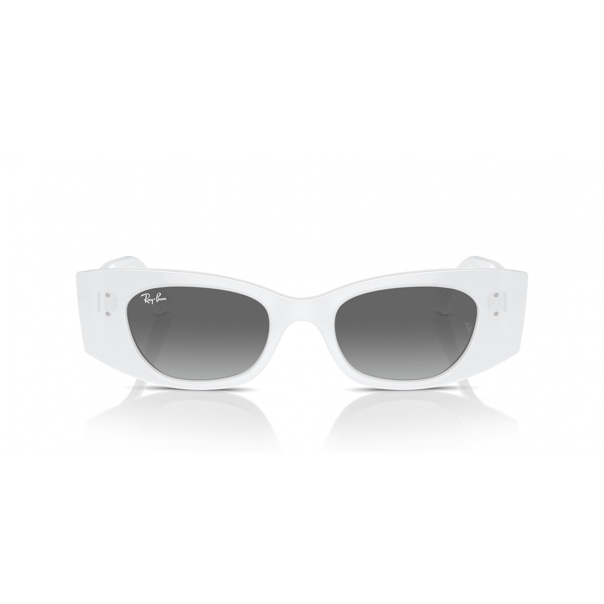 Ray-Ban 0RB4427
