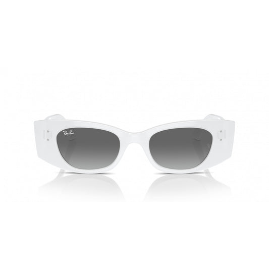 Ray-Ban 0RB4427