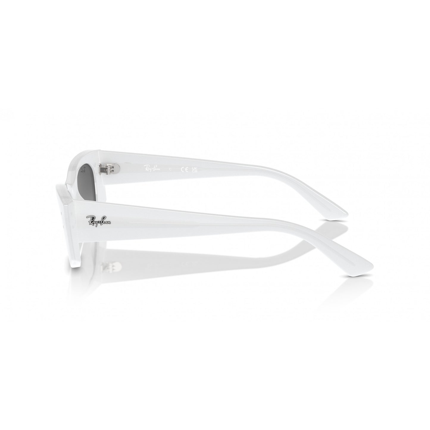 Ray-Ban 0RB4427