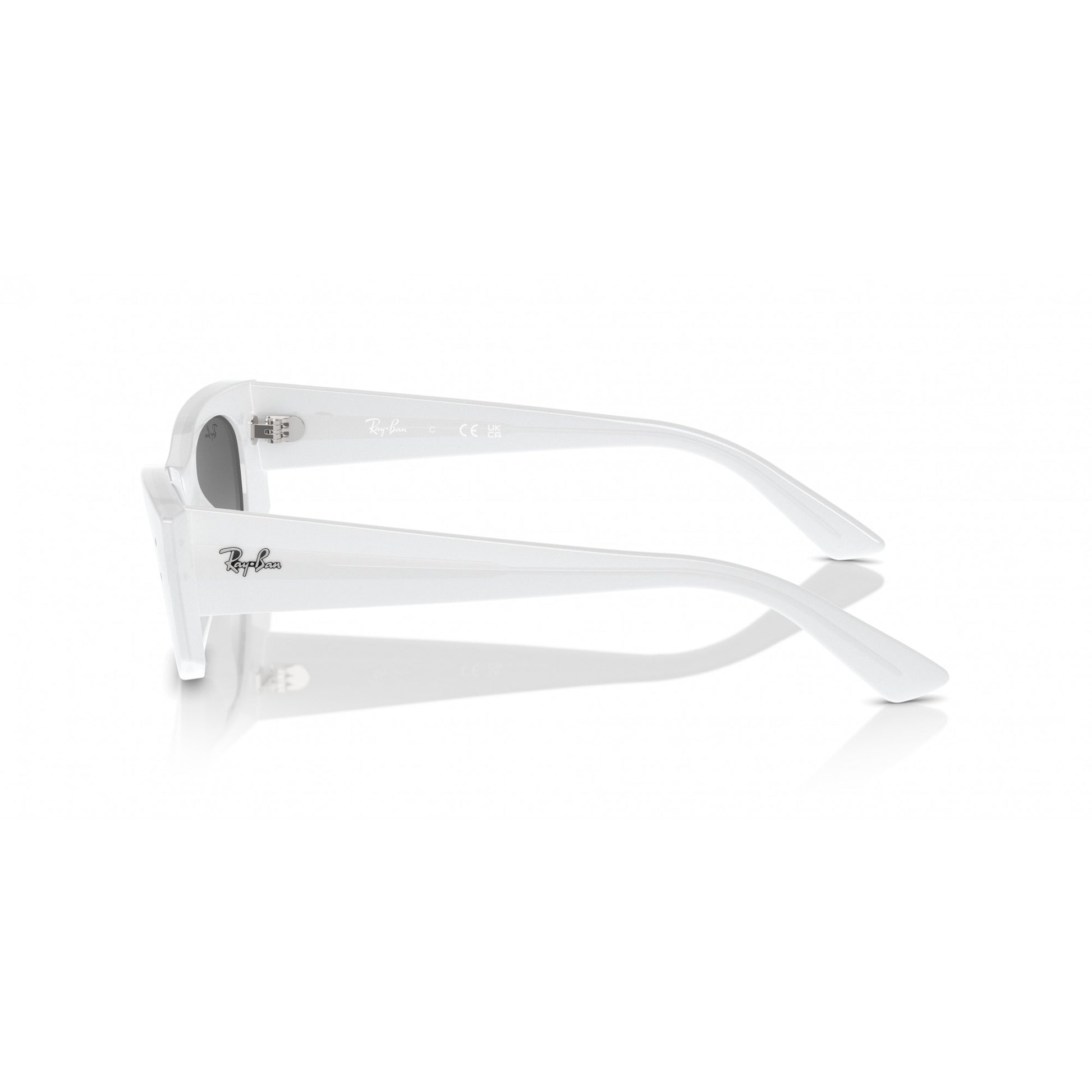 Ray-Ban 0RB4427