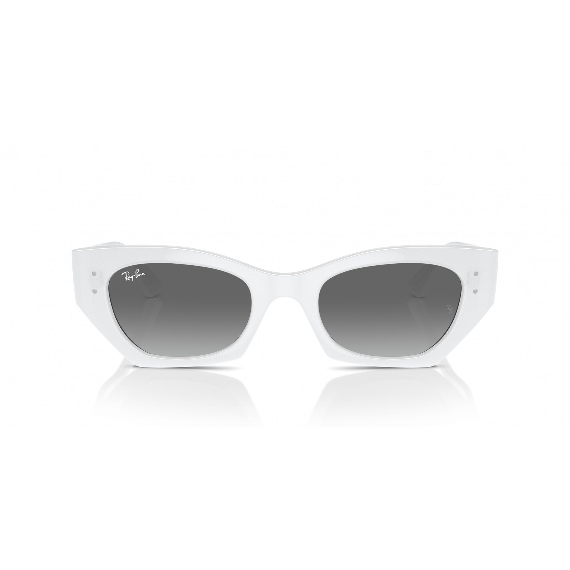 Ray-Ban 0RB4430