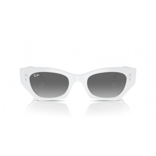 Ray-Ban 0RB4430