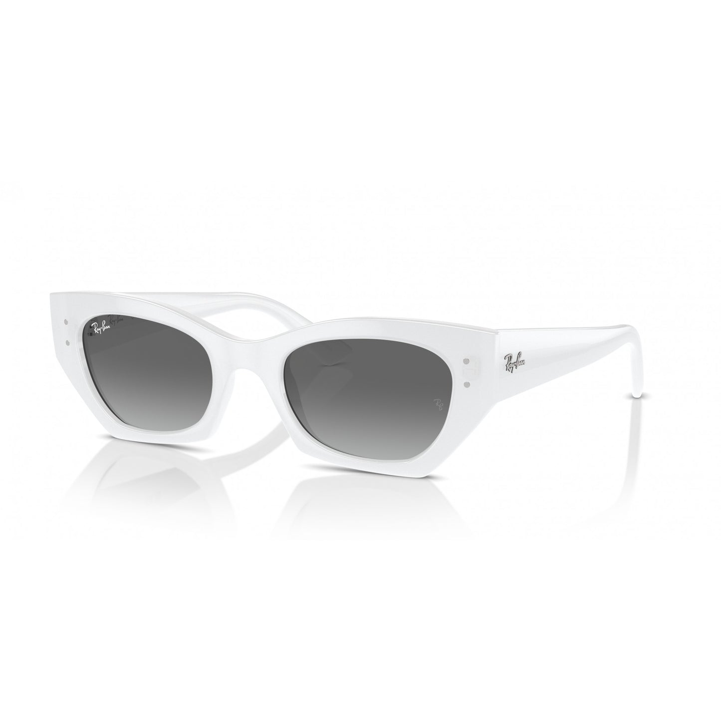 Ray-Ban 0RB4430