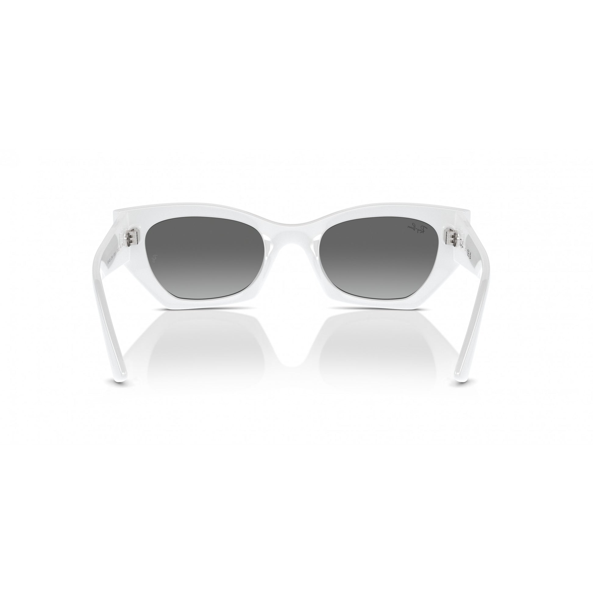 Ray-Ban 0RB4430