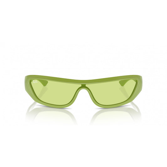 Ray-Ban 0RB4431