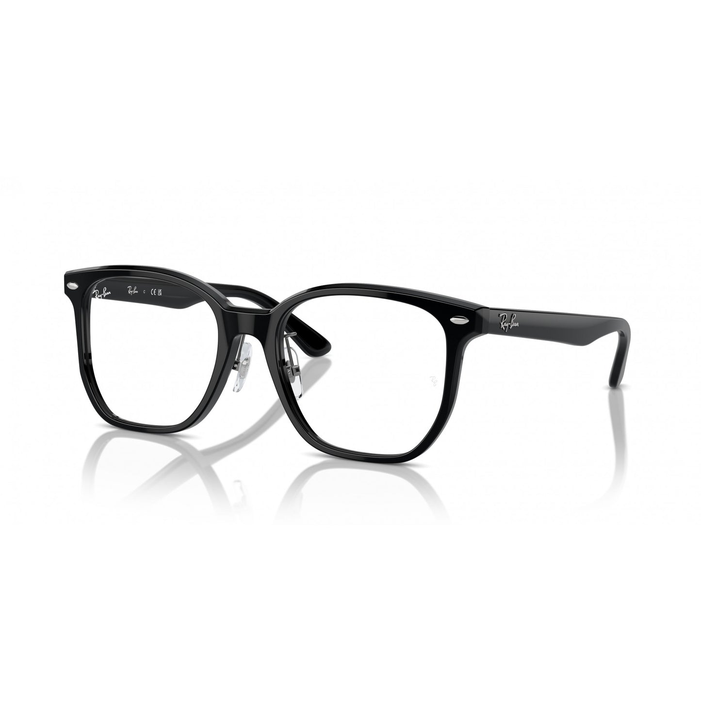 Ray-Ban 0RX5425D