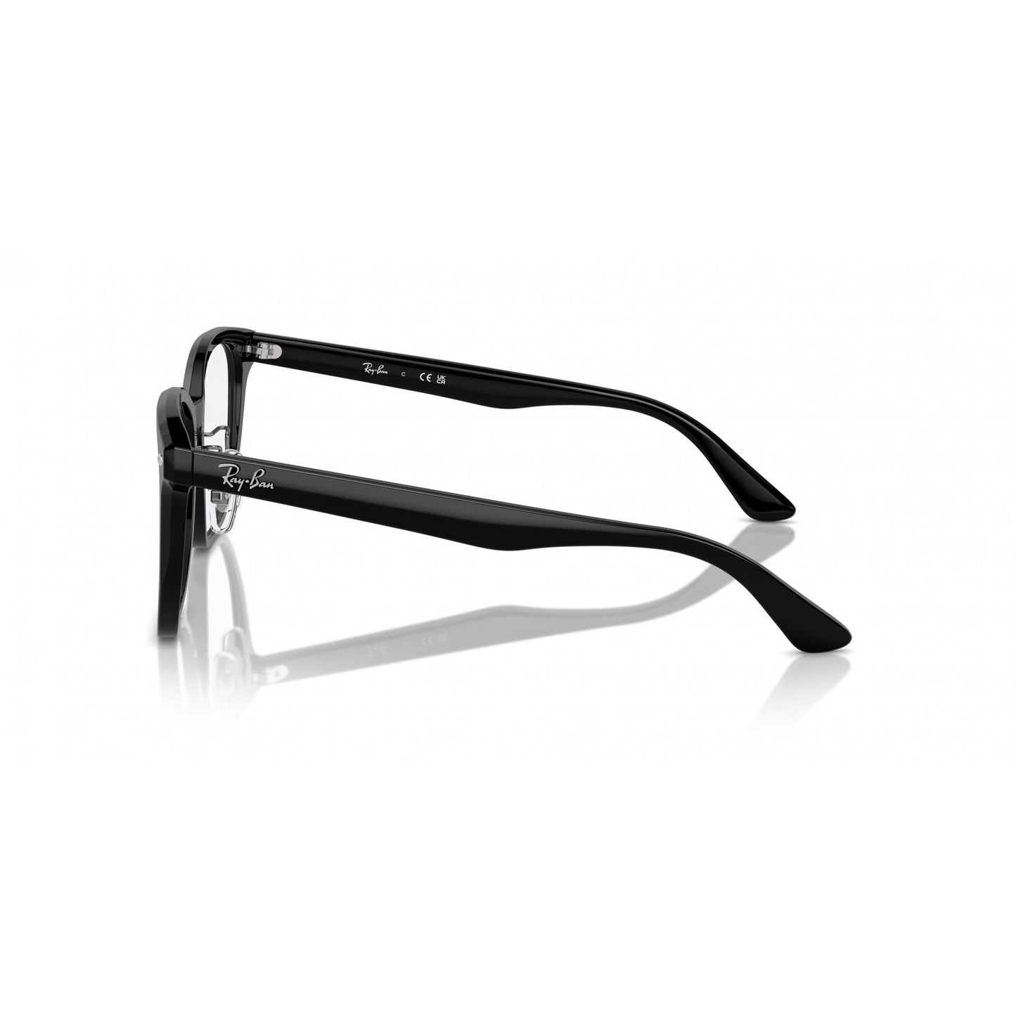 Ray-Ban 0RX5425D