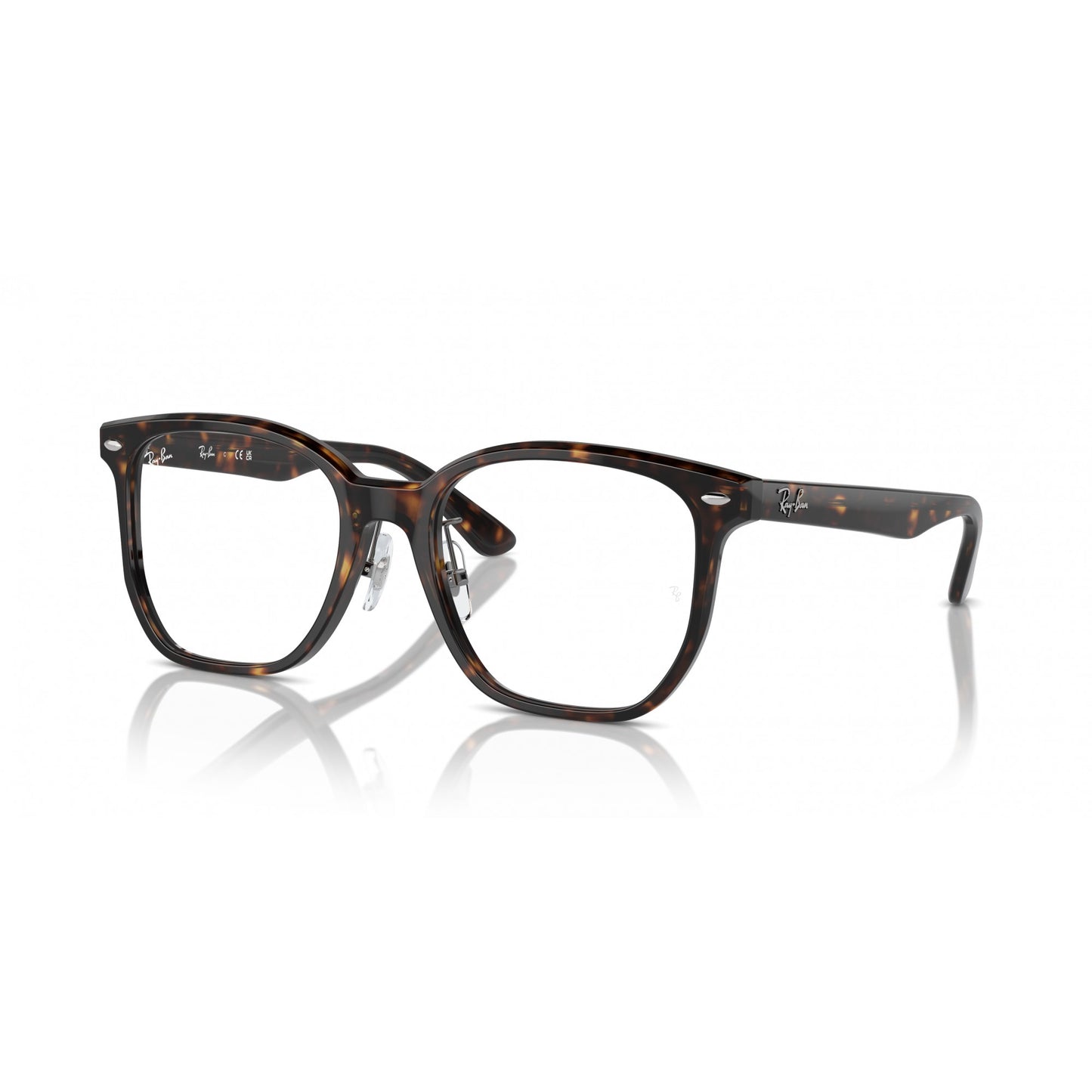 Ray-Ban 0RX5425D