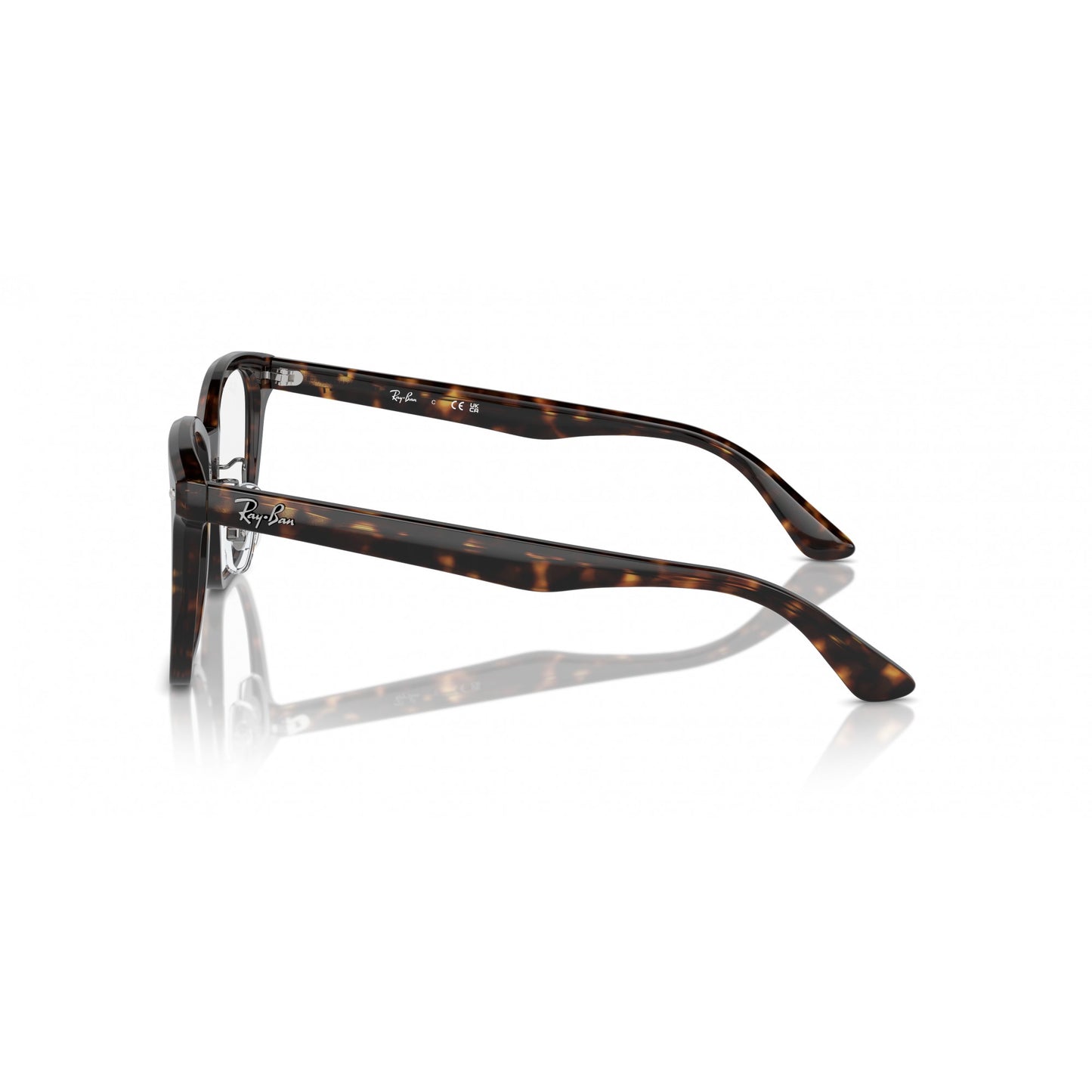 Ray-Ban 0RX5425D