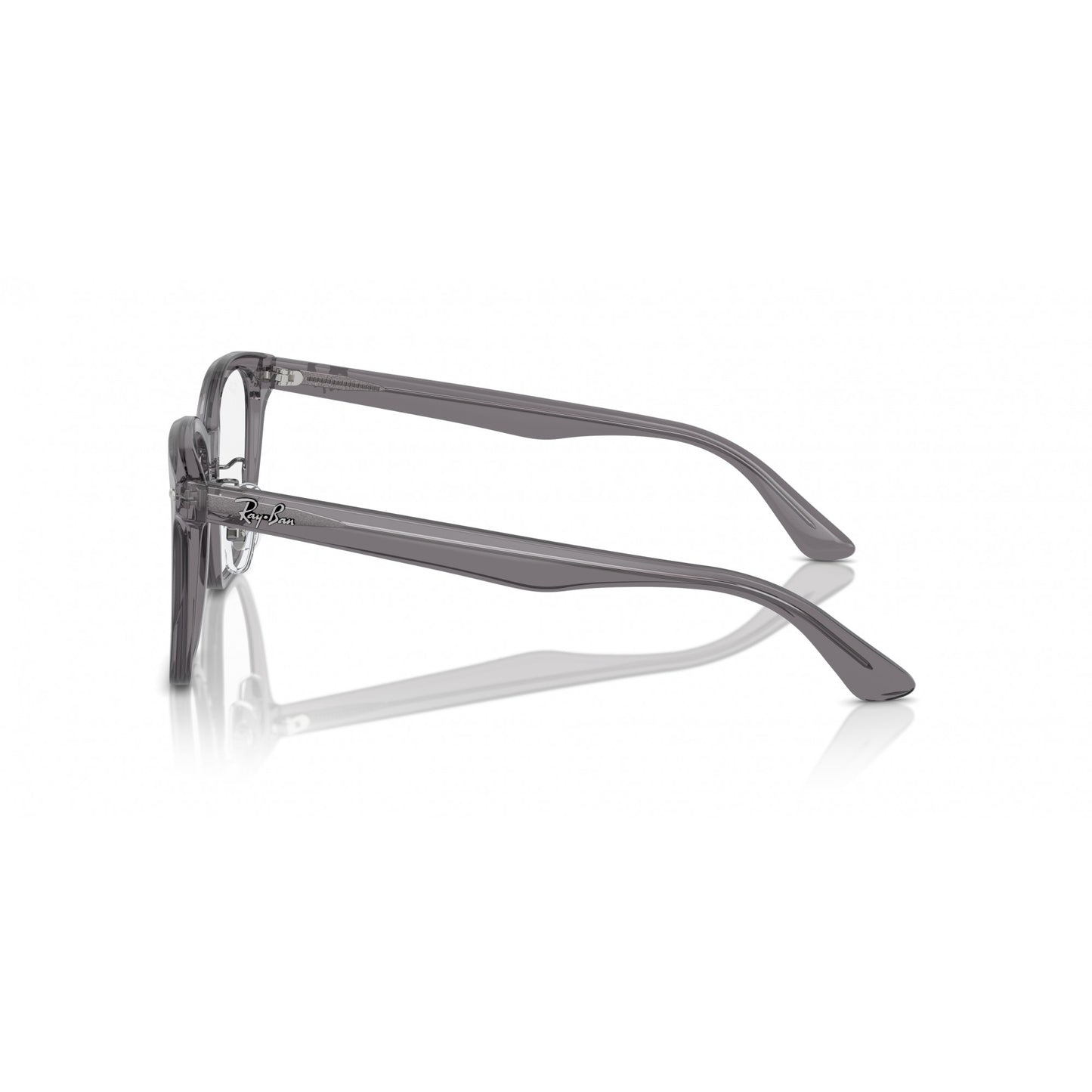 Ray-Ban 0RX5425D