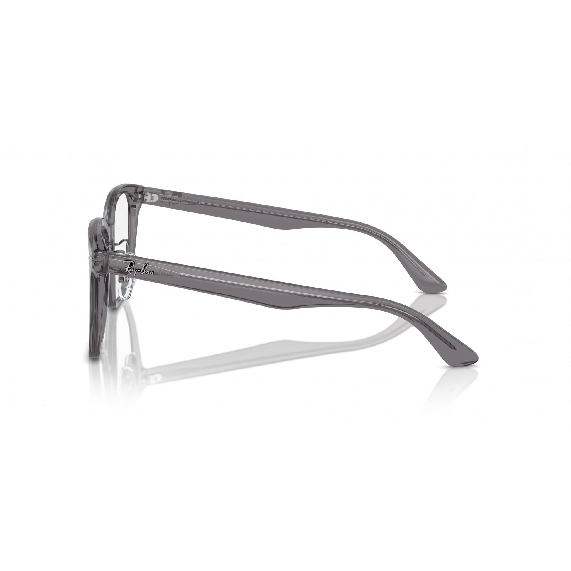 Ray-Ban 0RX5425D