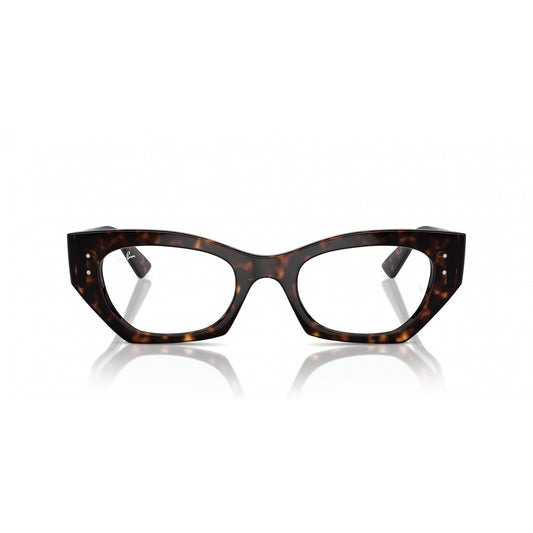 Ray-Ban 0RX7330