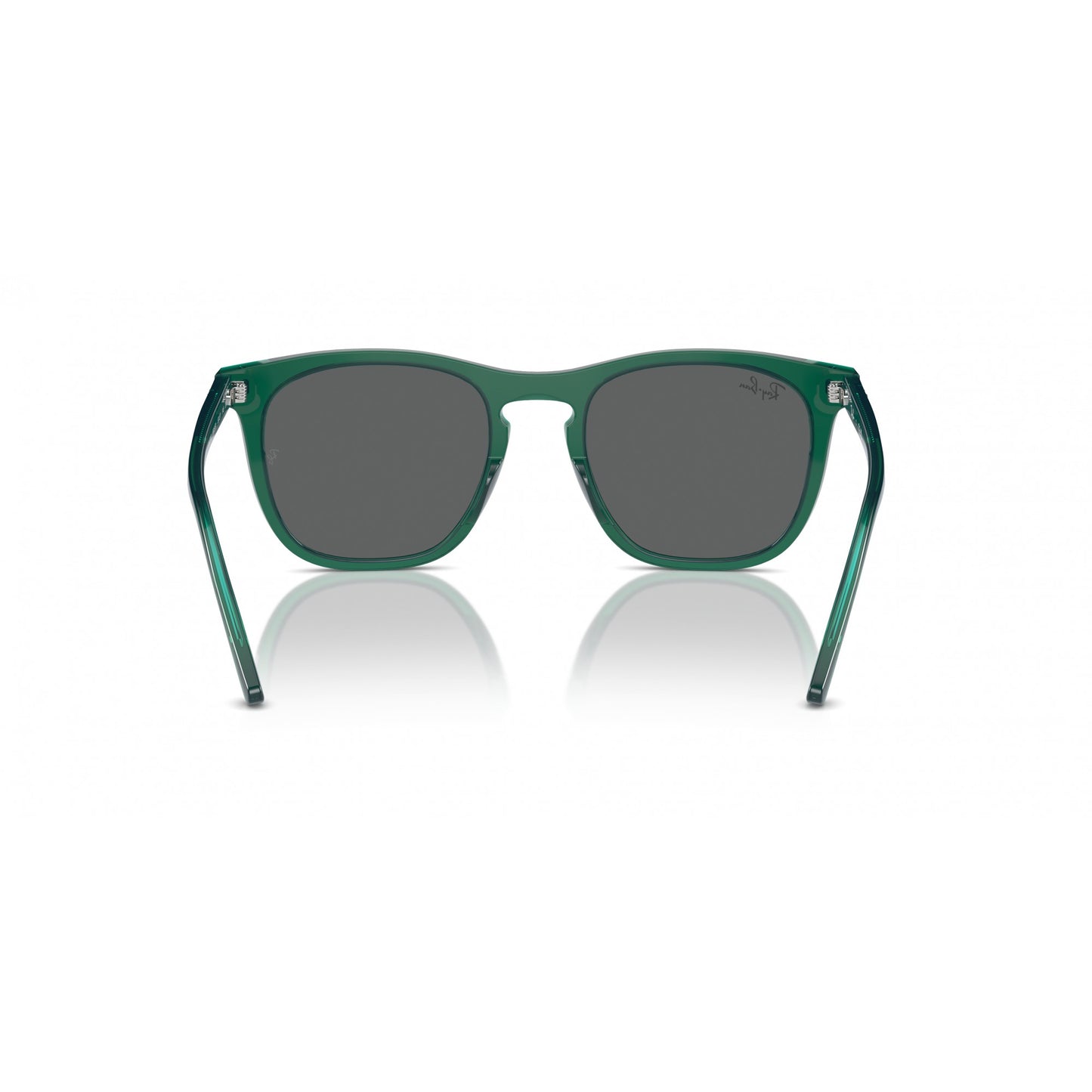 Ray-Ban 0RB2210