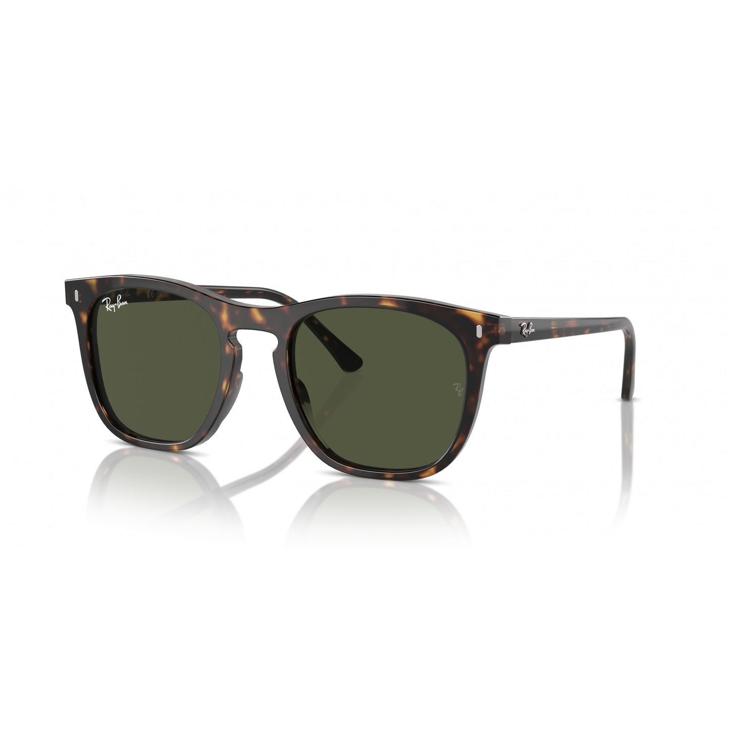 Ray-Ban 0RB2210